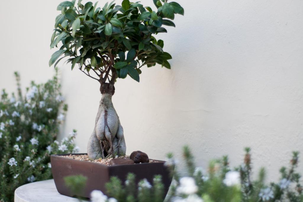 Doncaster Cottages Port Elizabeth Rom bilde